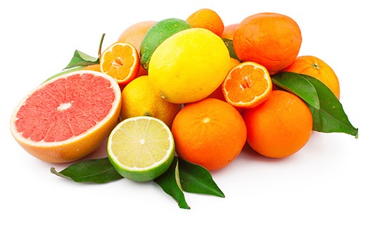1693483628402_1645573517217_citrus_dt