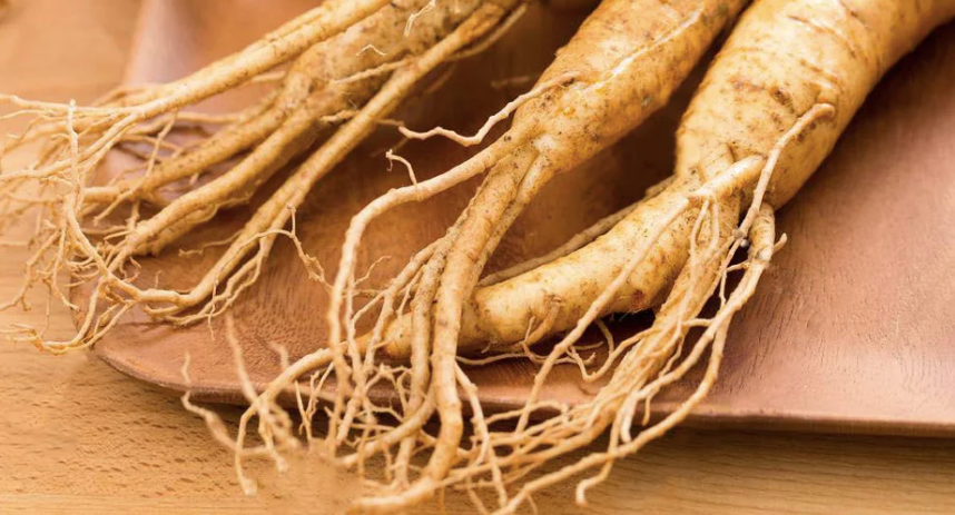 ginseng