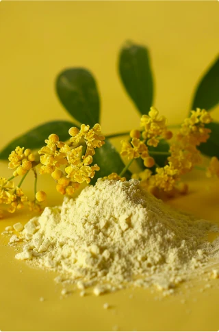 ingredient_1