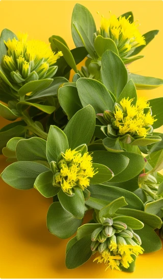 ingredient_3